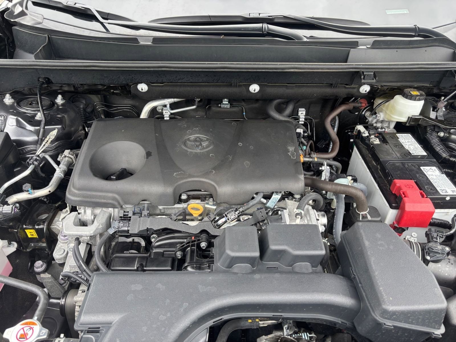 2024 Toyota RAV4 XLE 32