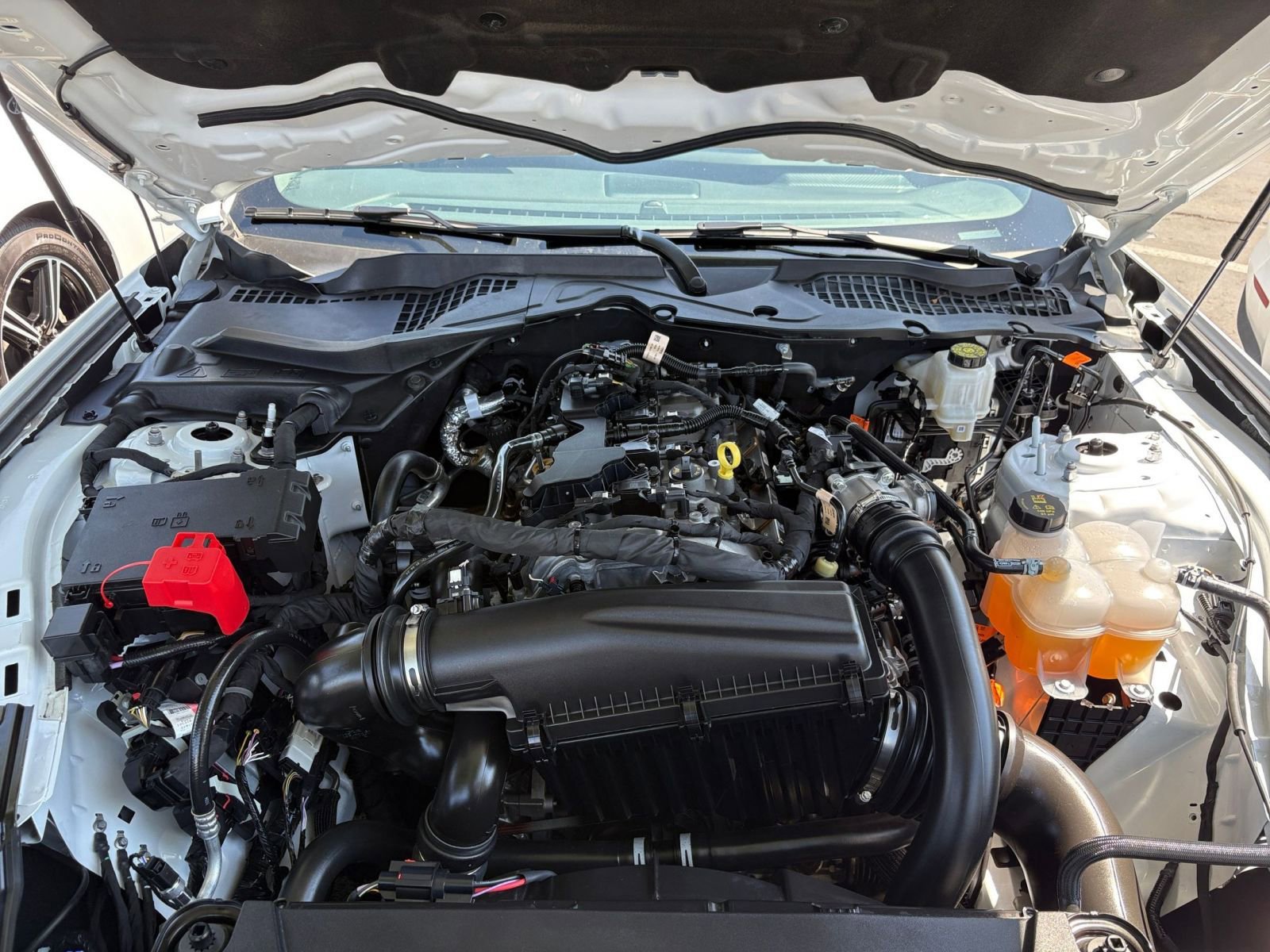 Thumbnail: 2024 Ford Mustang - 32