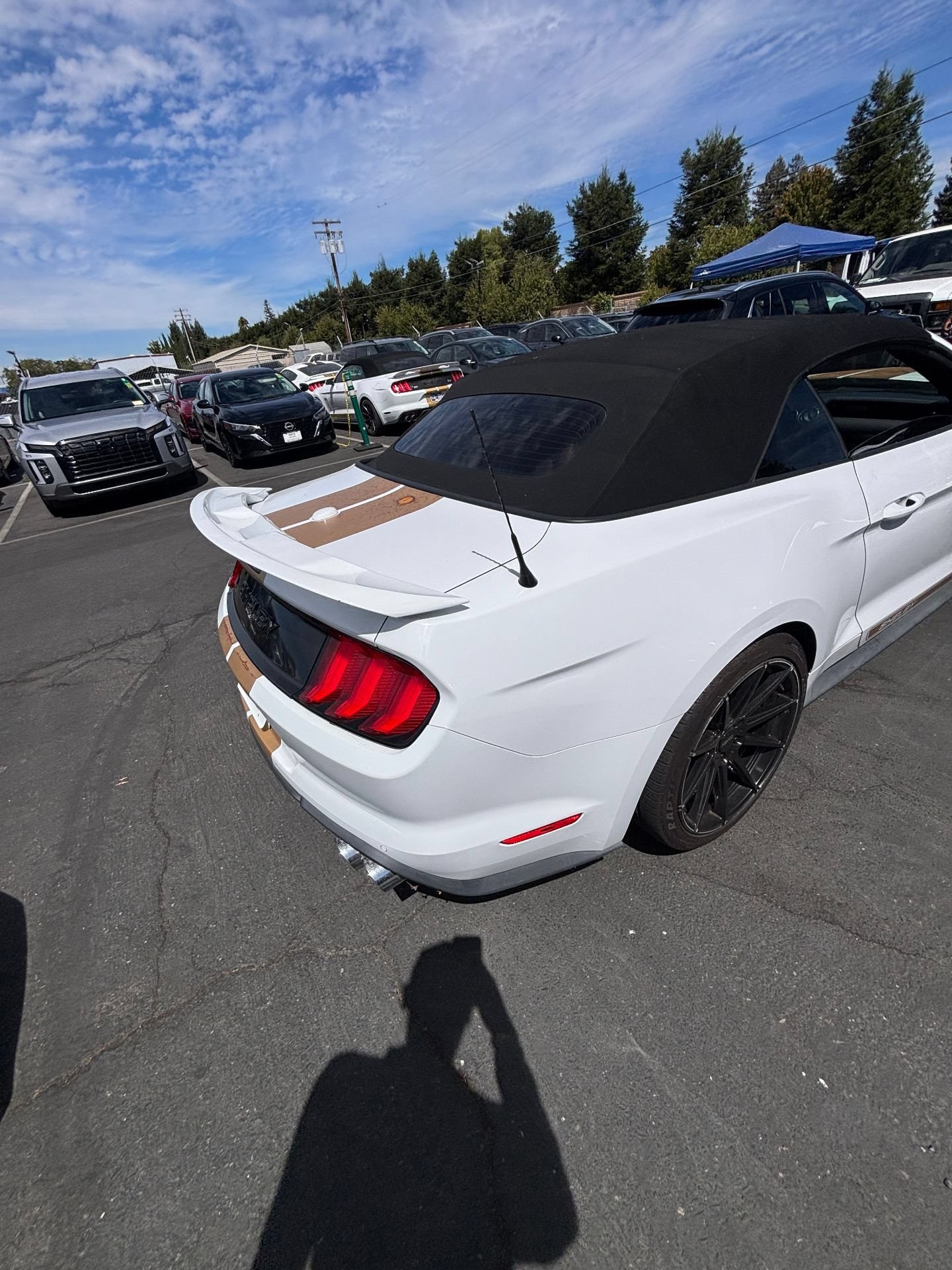 Thumbnail: 2022 Ford Mustang - 13