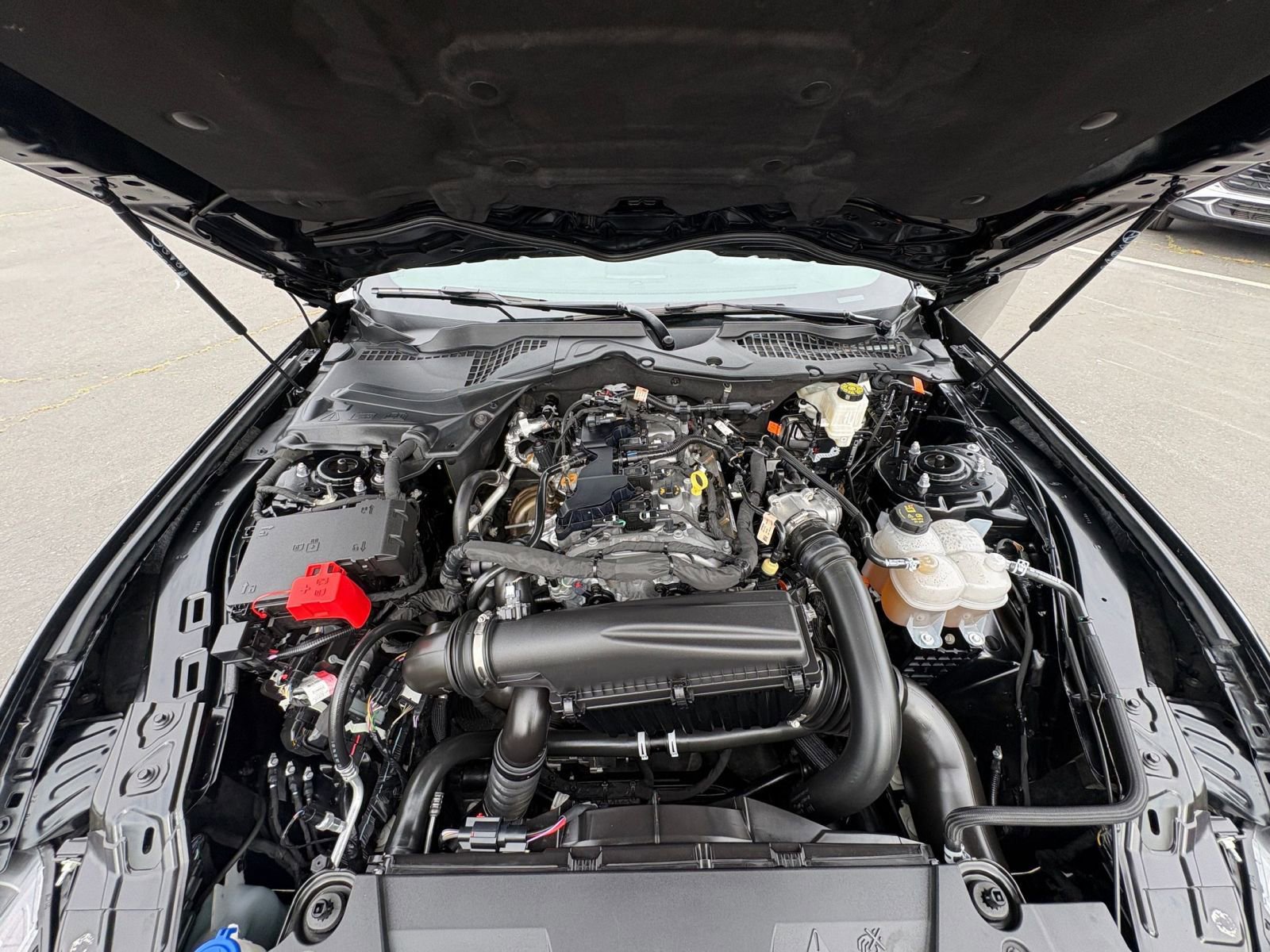 Thumbnail: 2024 Ford Mustang - 32