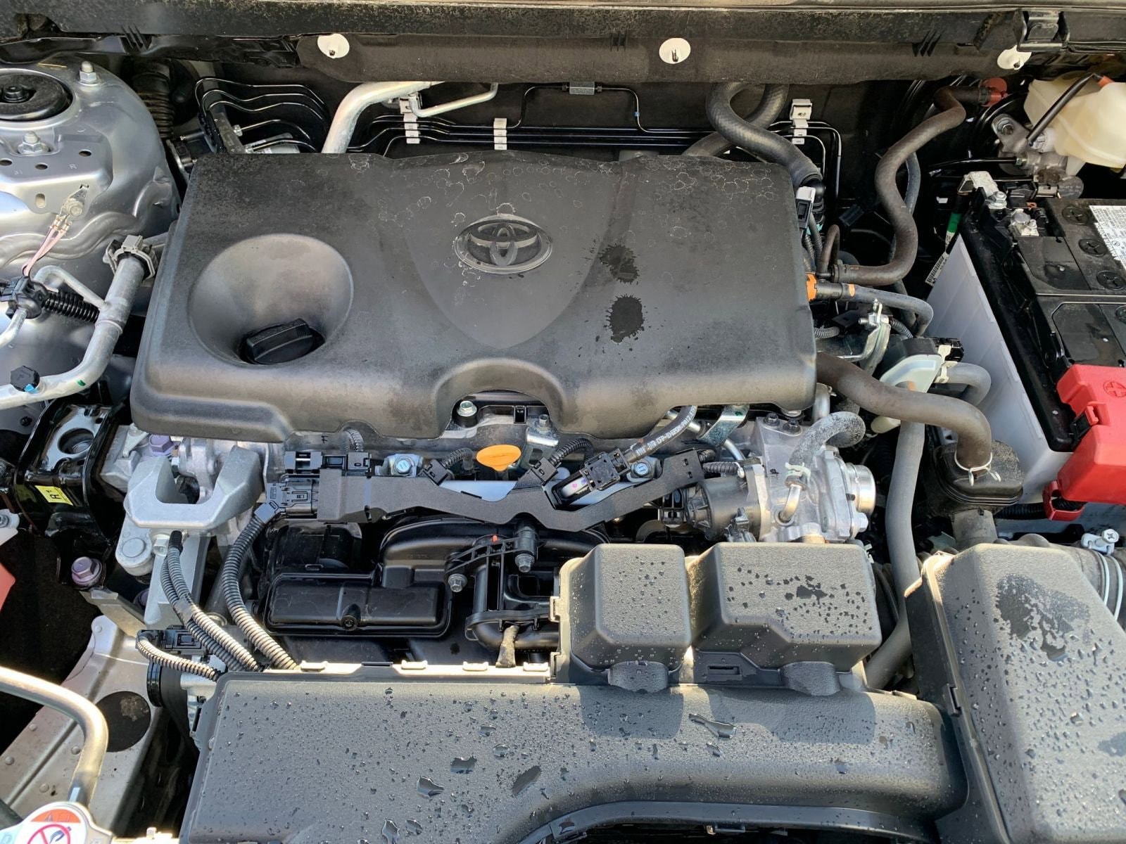 Thumbnail: 2025 Toyota RAV4 - 33