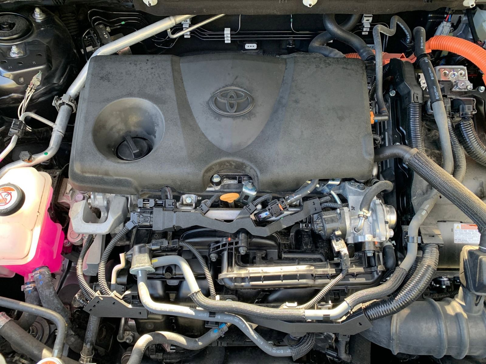 Thumbnail: 2025 Toyota RAV4 - 31