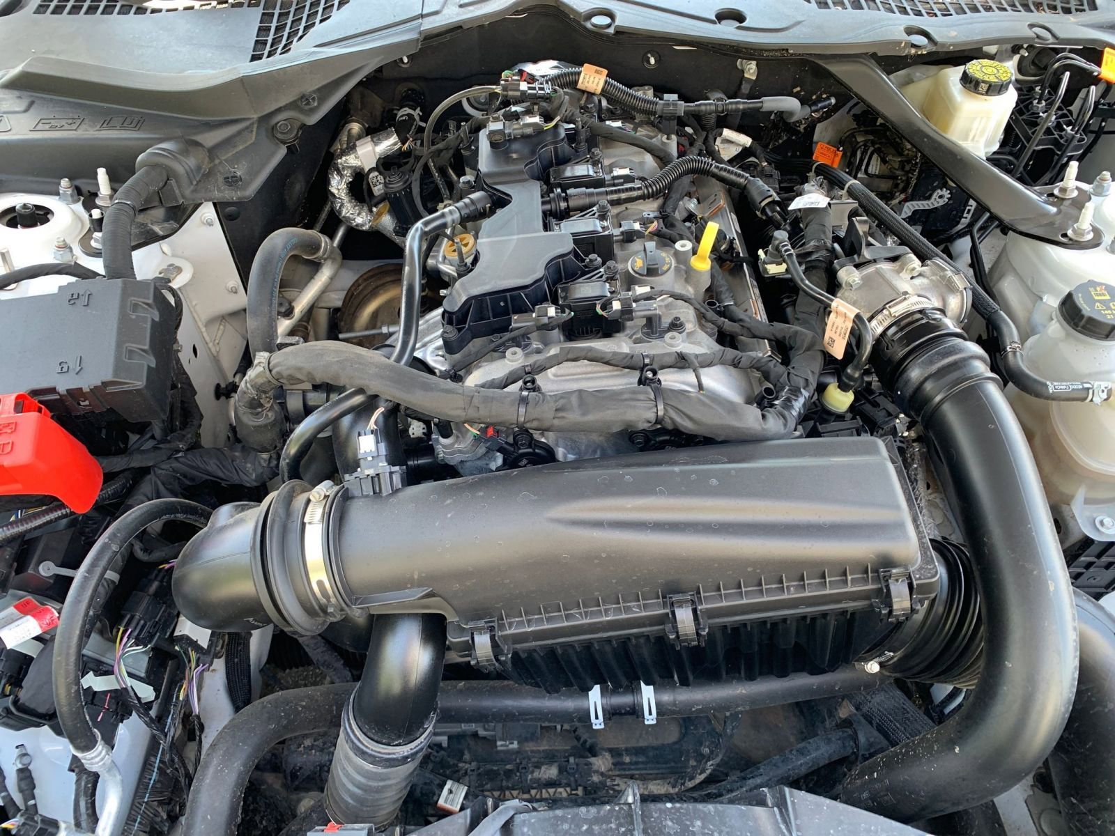 Thumbnail: 2024 Ford Mustang - 31