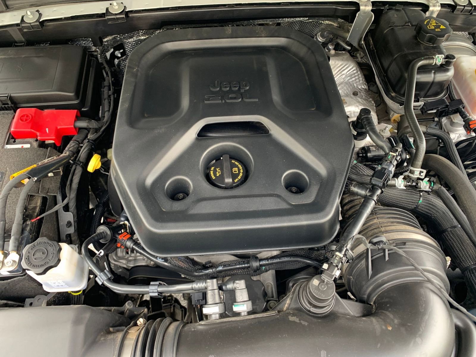 Thumbnail: 2025 Jeep Wrangler - 31