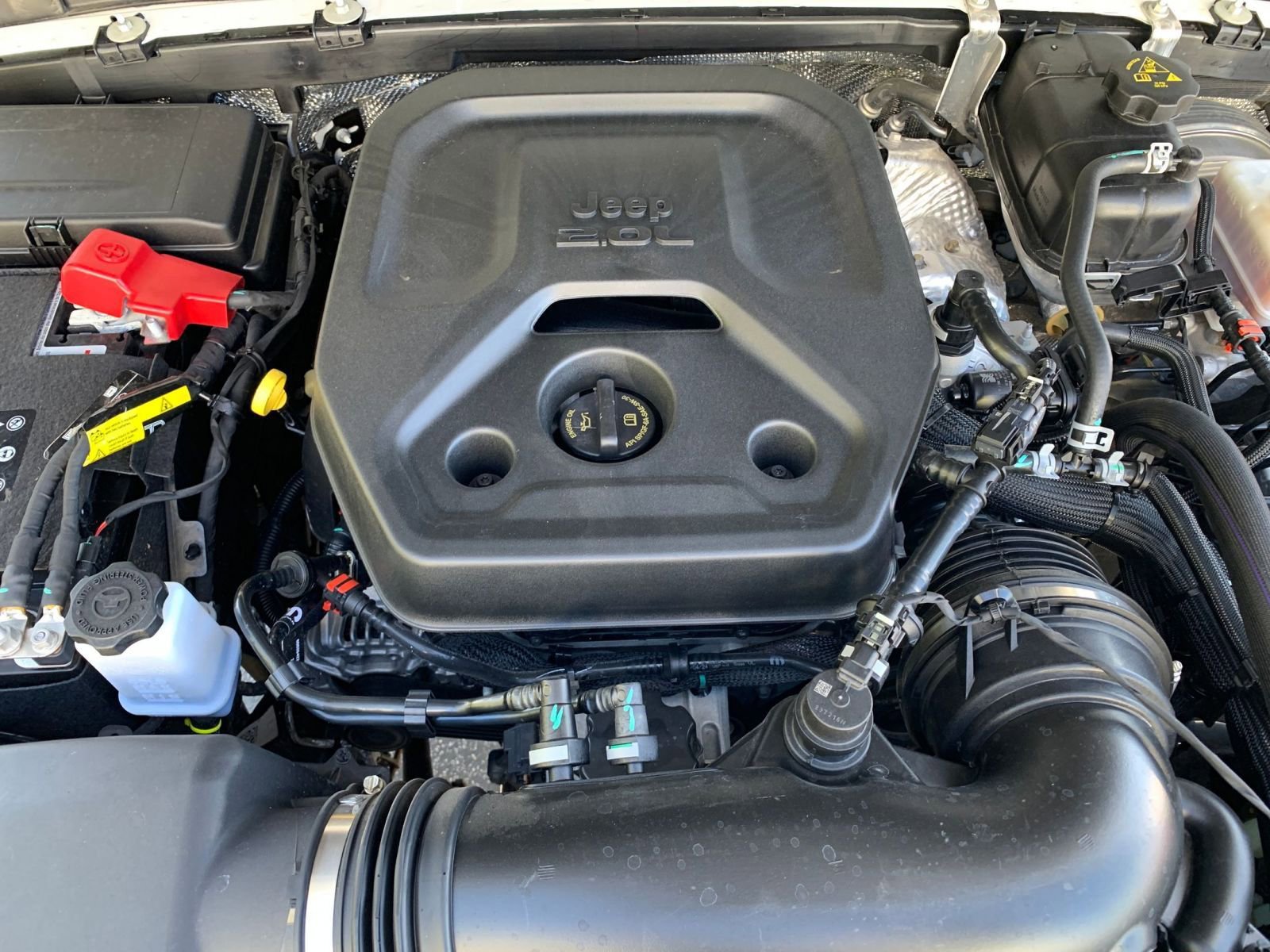 Thumbnail: 2025 Jeep Wrangler - 31