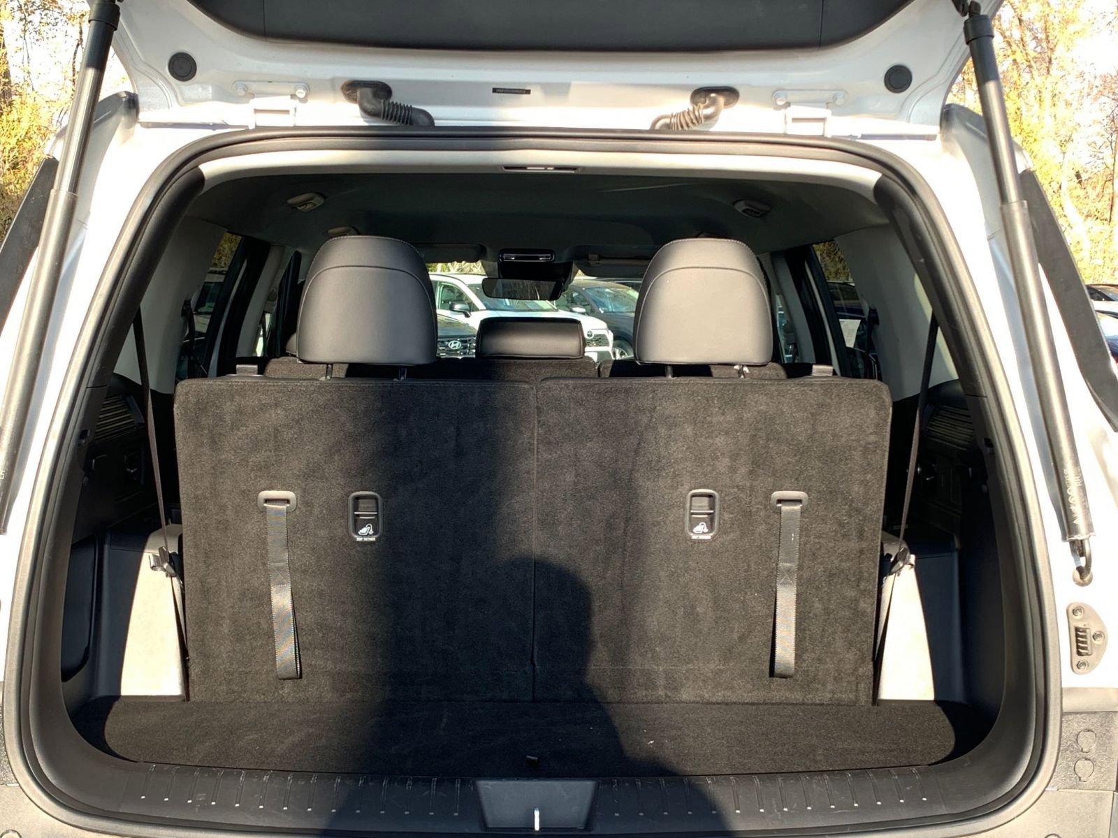 Thumbnail: 2025 Hyundai Santa Fe - 30