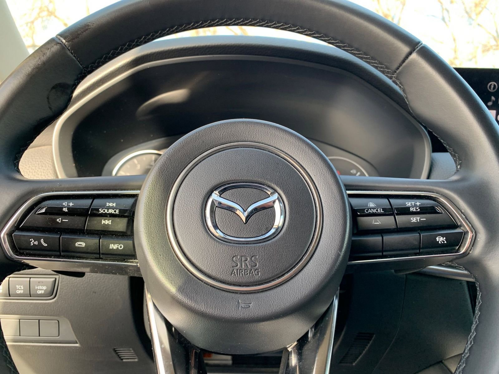 Thumbnail: 2025 Mazda CX-90 - 29