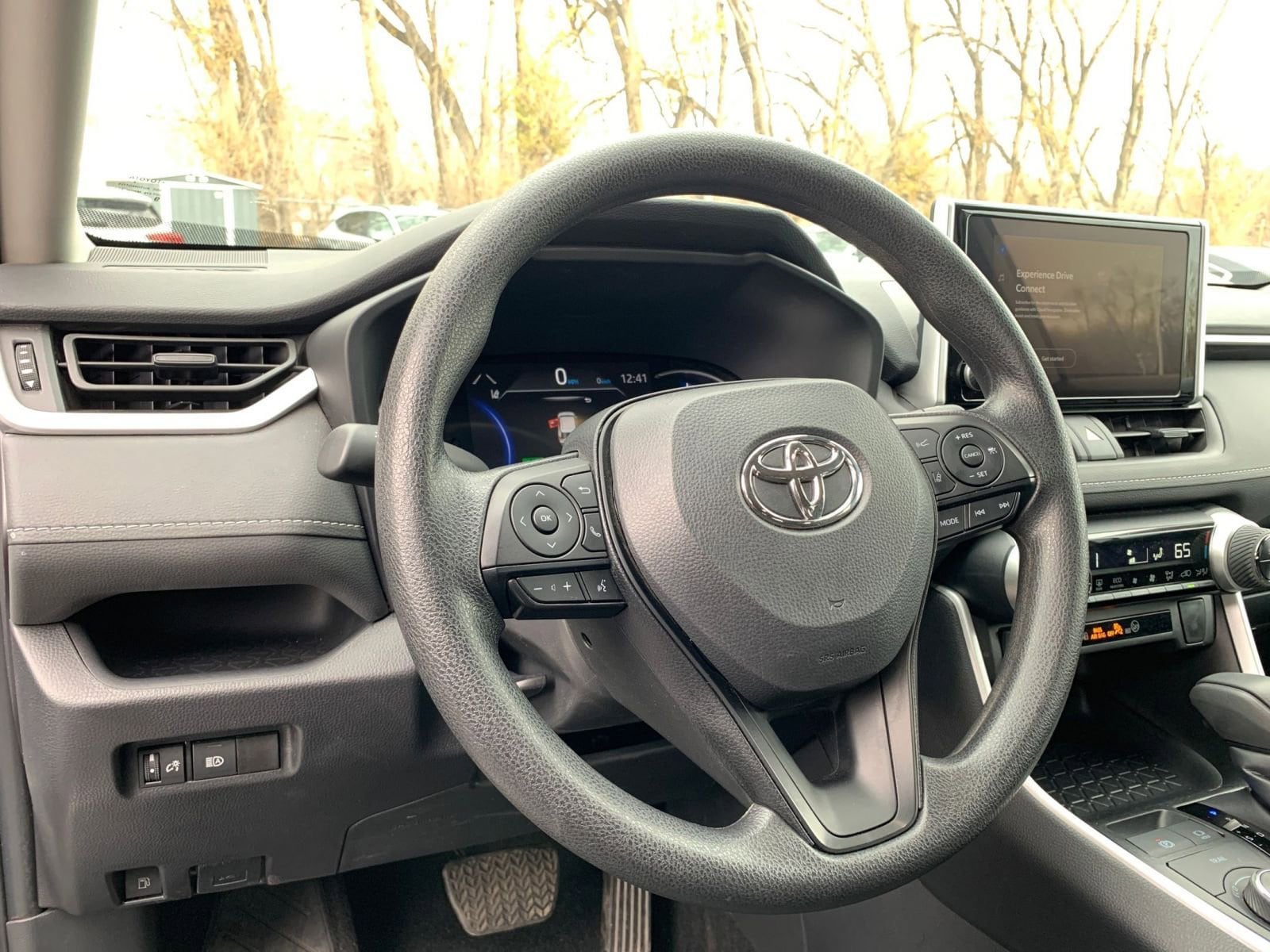 Thumbnail: 2025 Toyota RAV4 - 33