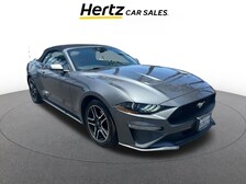 2023 Ford Mustang  -
                  San Diego, CA