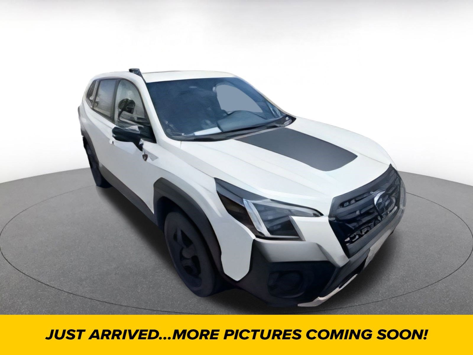 2024 Subaru Forester Wilderness Hero Image