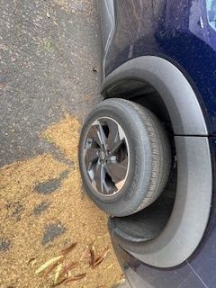 Thumbnail: 2025 Nissan Rogue - 11