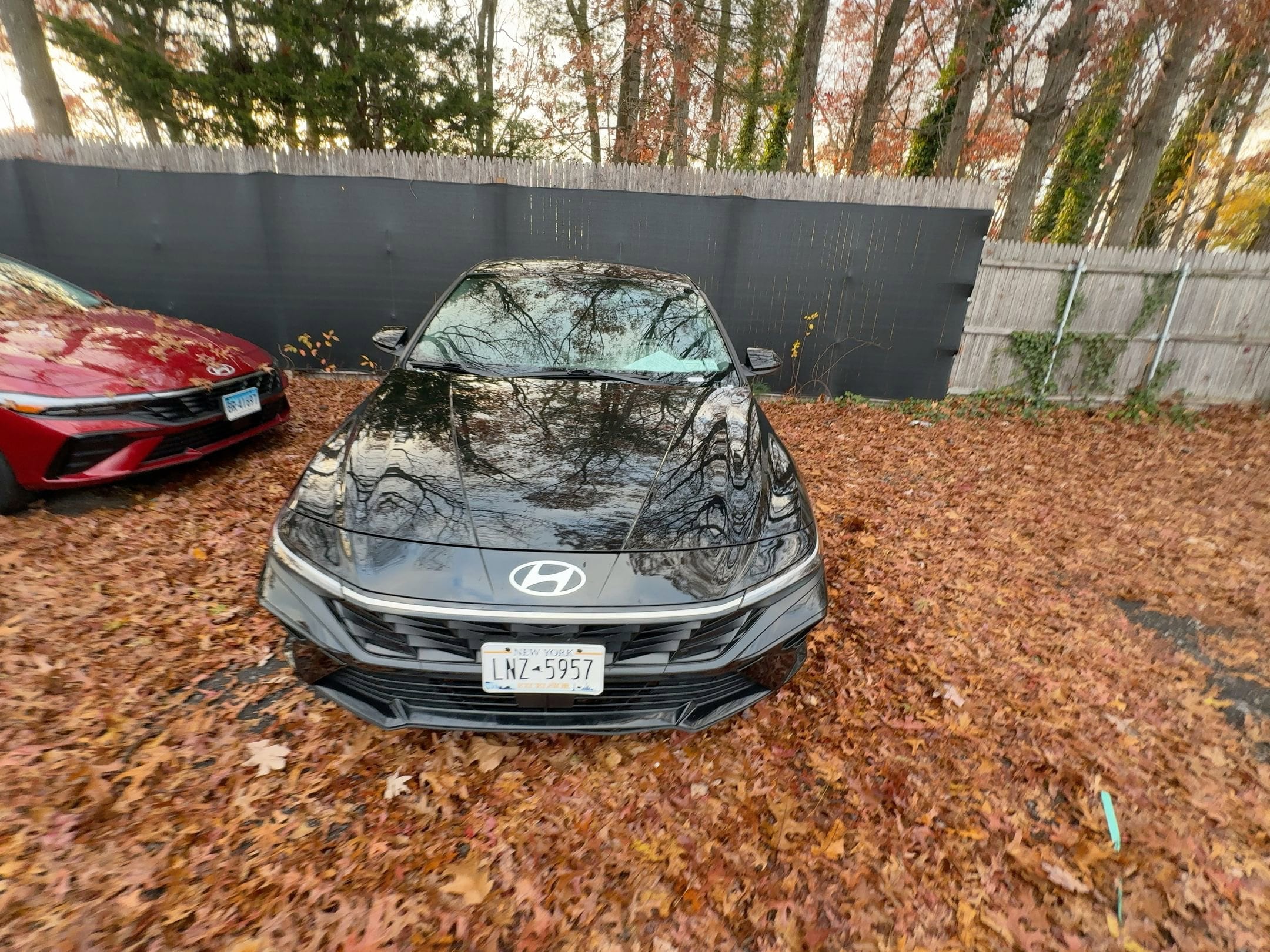 Thumbnail: 2025 Hyundai Elantra - 3