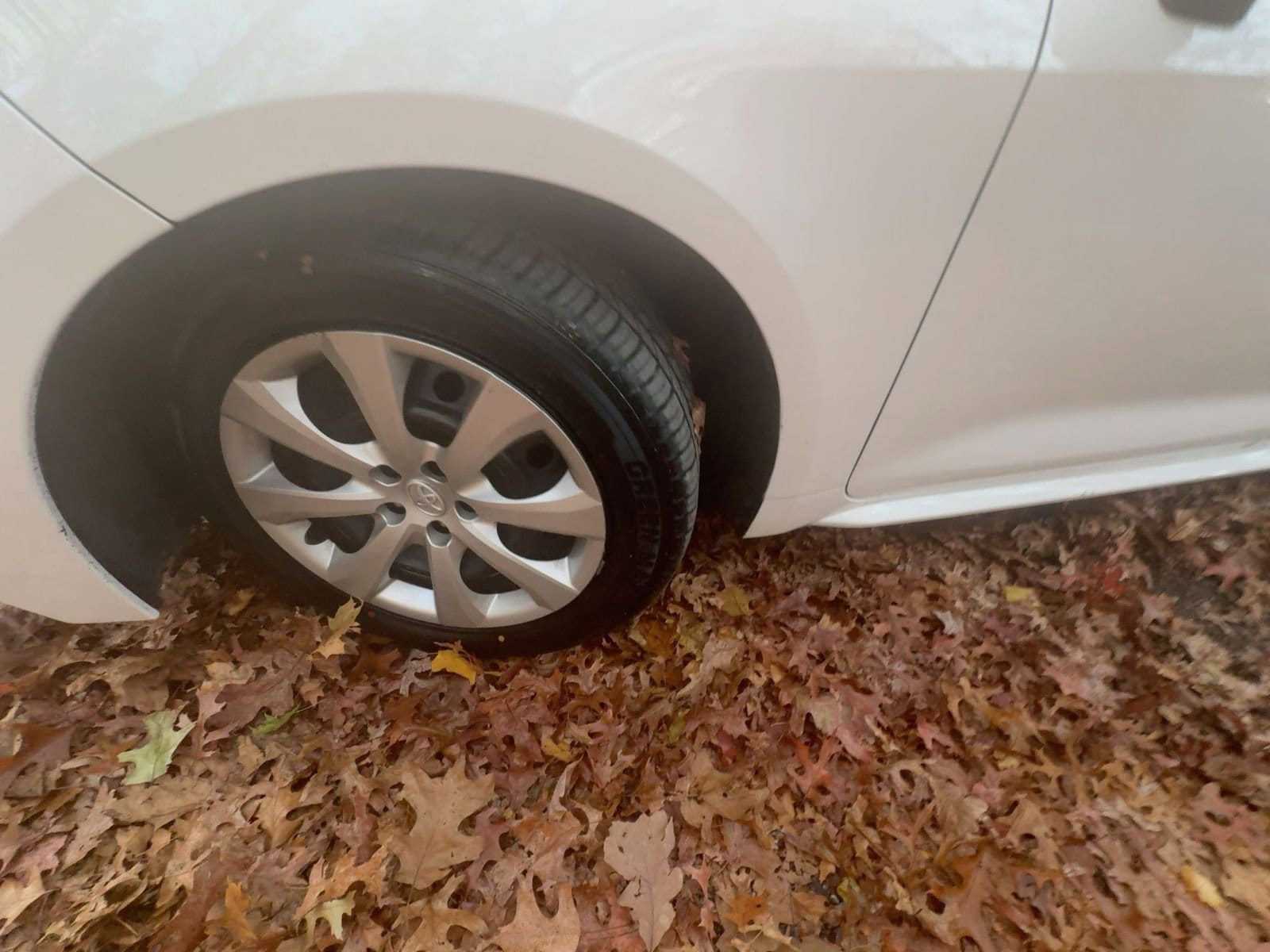 Thumbnail: 2025 Toyota Corolla - 14