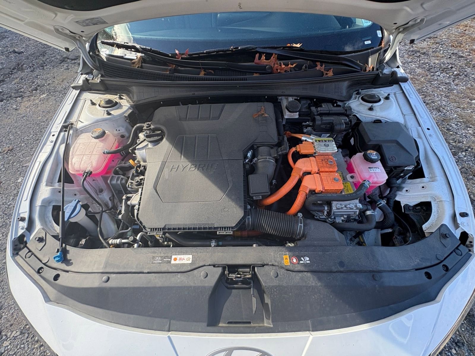 Thumbnail: 2025 Hyundai Elantra - 29