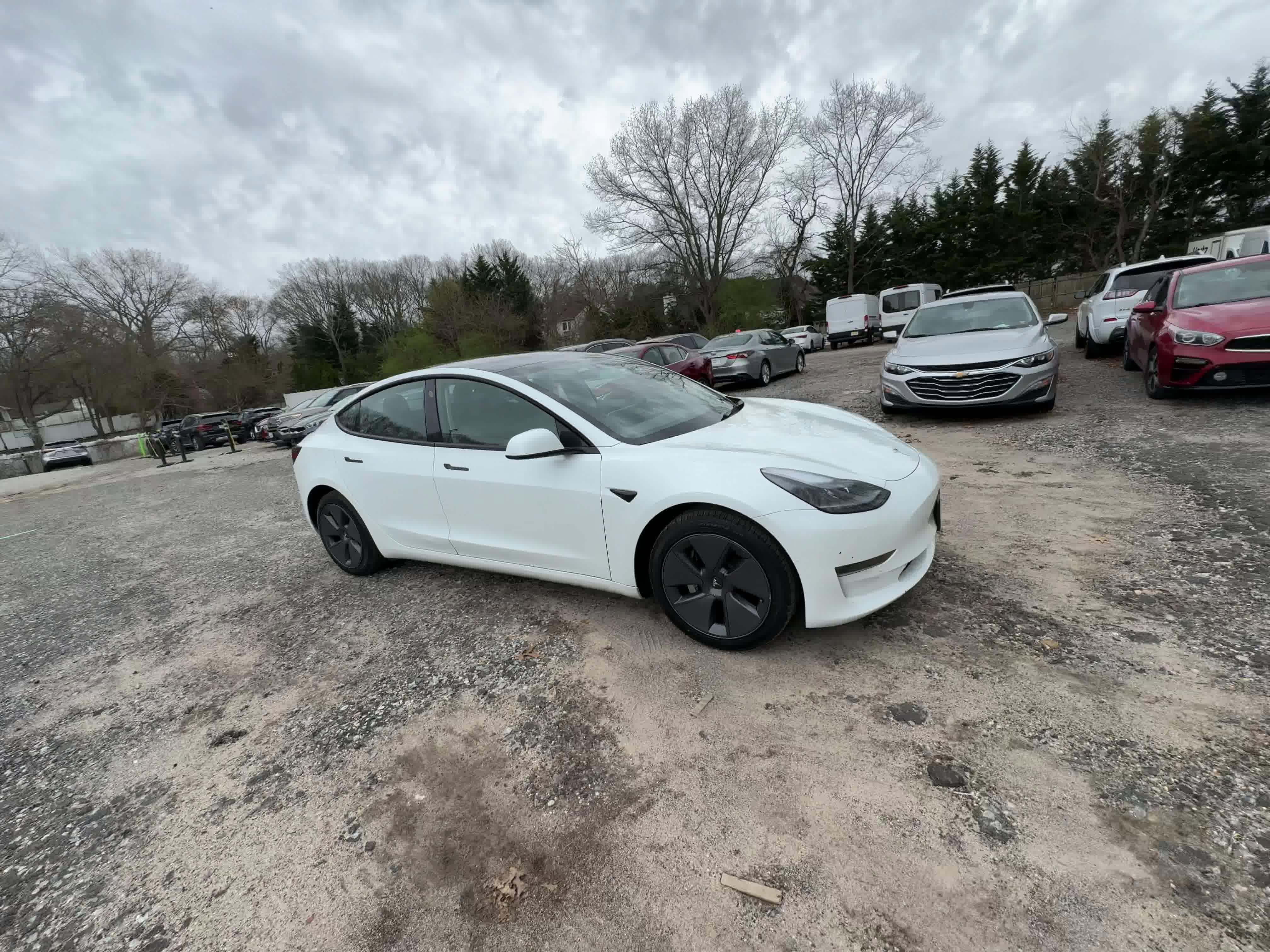 Certified 2022 Tesla Model 3  with VIN 5YJ3E1EA7NF371543 for sale in Seattle, WA
