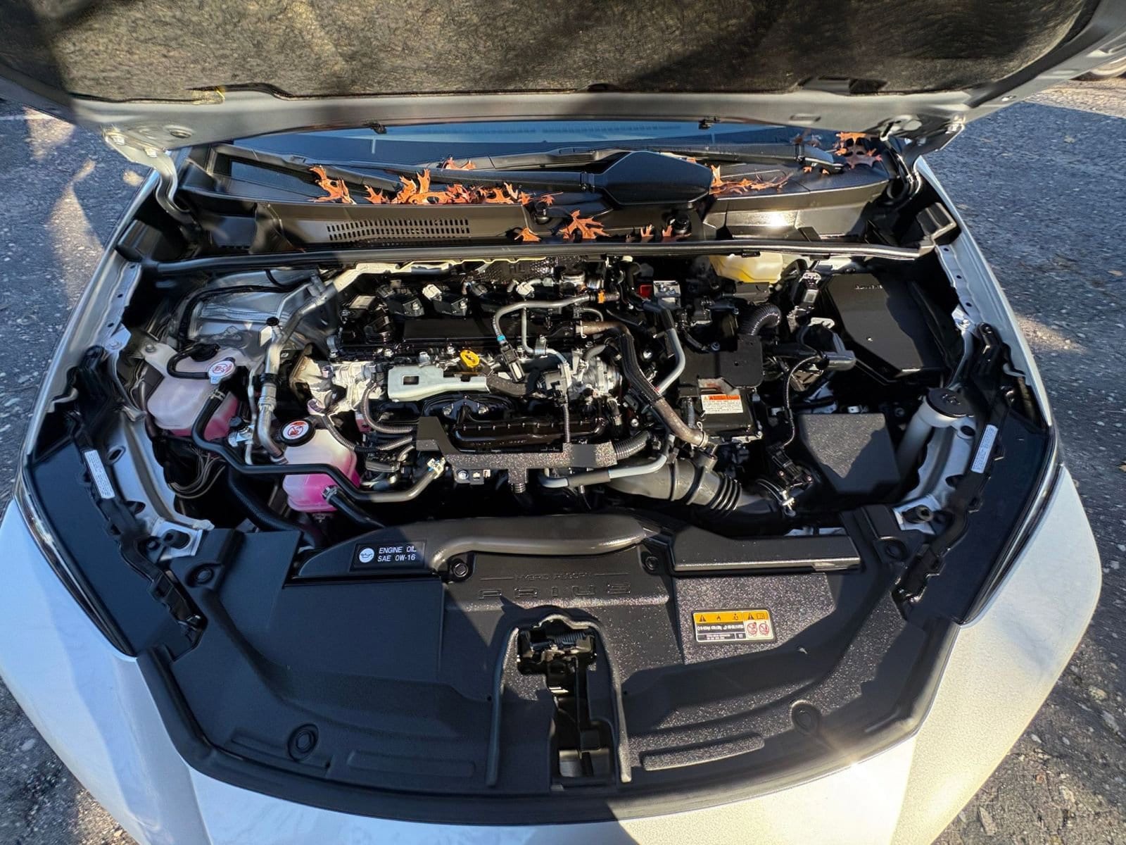 Thumbnail: 2025 Toyota Prius - 28