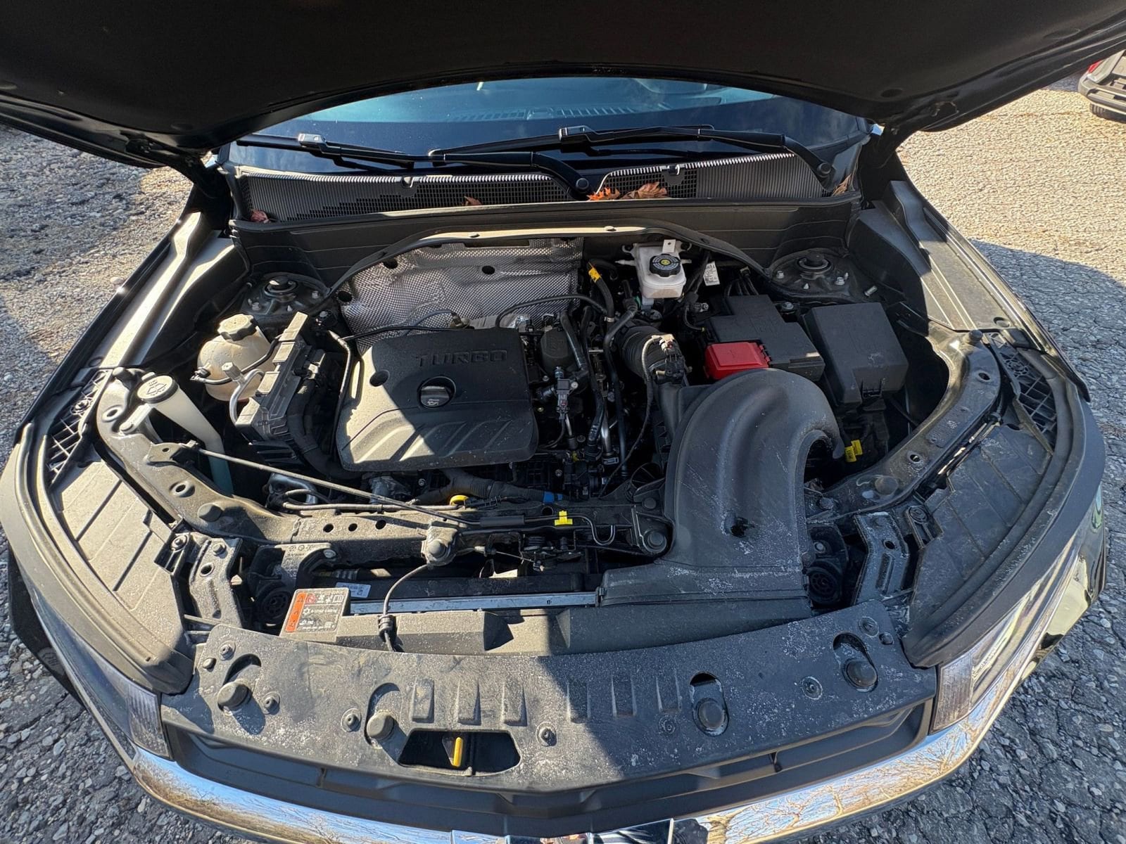 Thumbnail: 2025 Chevrolet TrailBlazer - 28