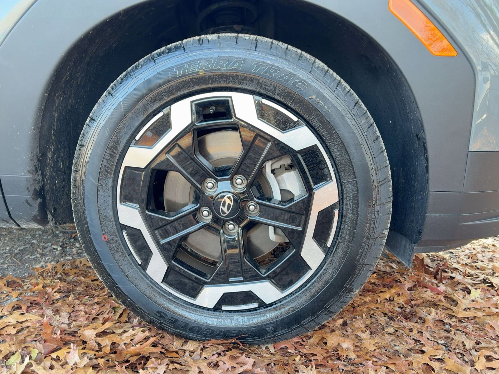 Thumbnail: 2025 Hyundai Santa Fe - 11