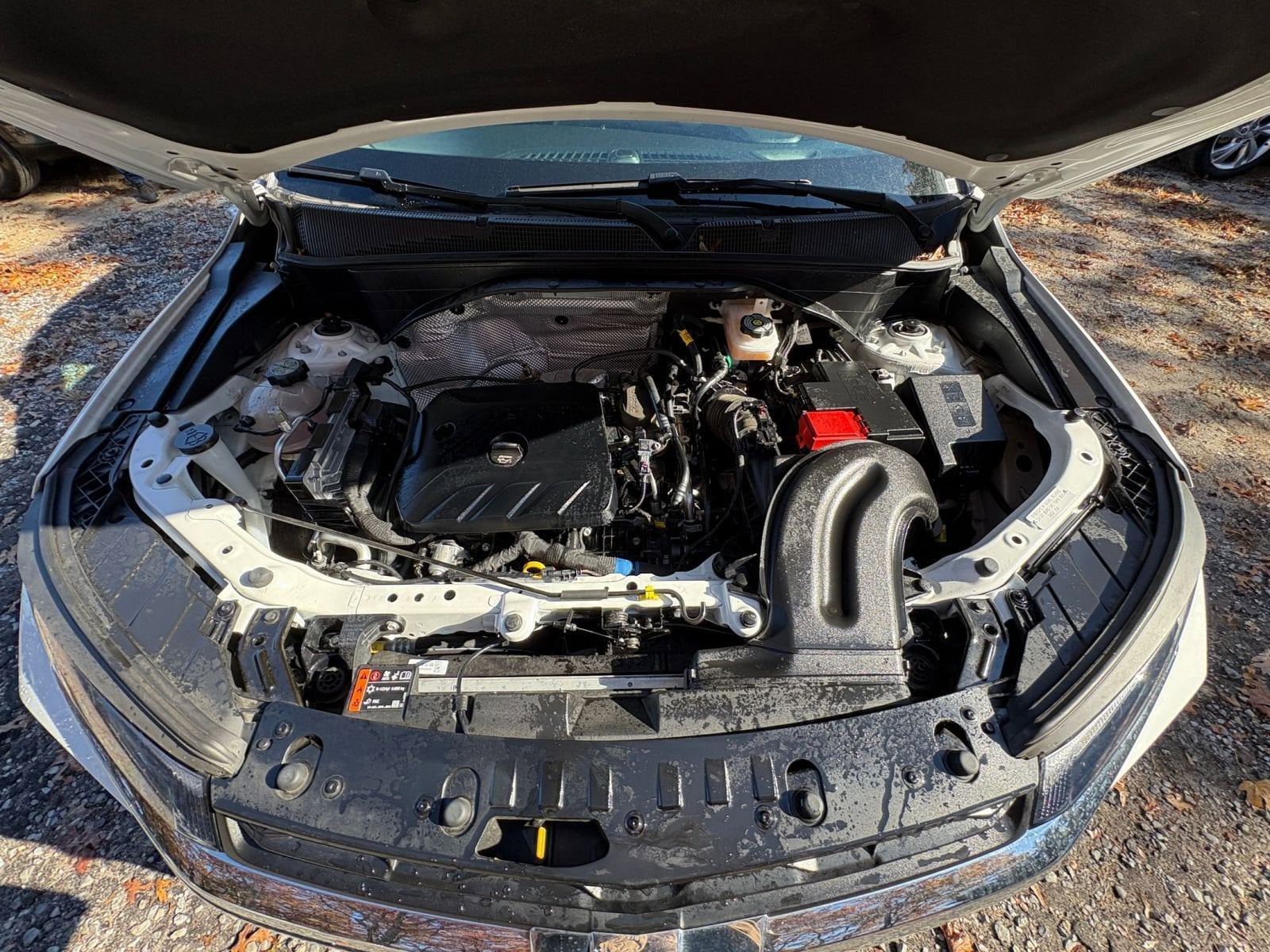 Thumbnail: 2025 Chevrolet TrailBlazer - 29