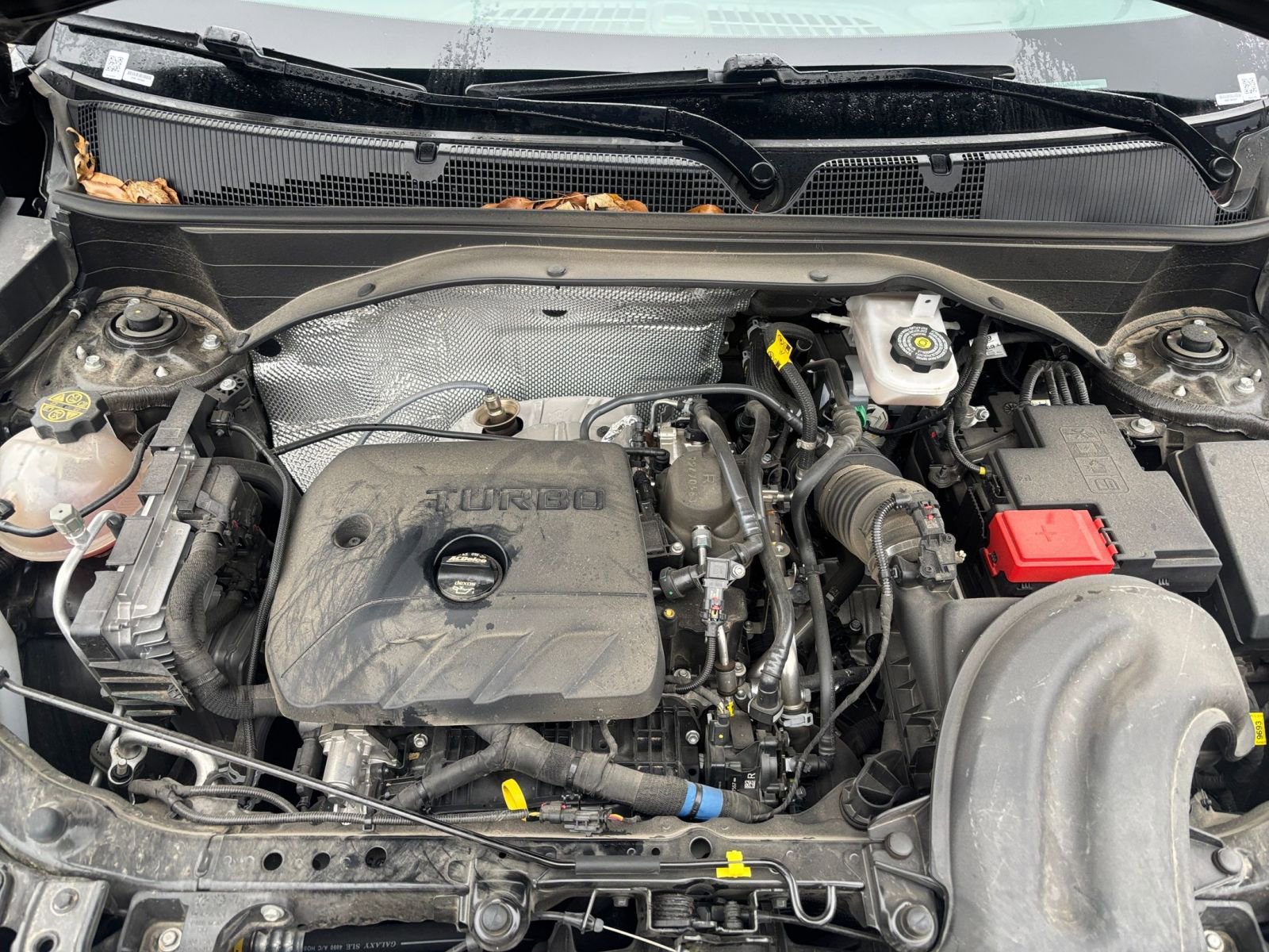 Thumbnail: 2025 Chevrolet TrailBlazer - 30