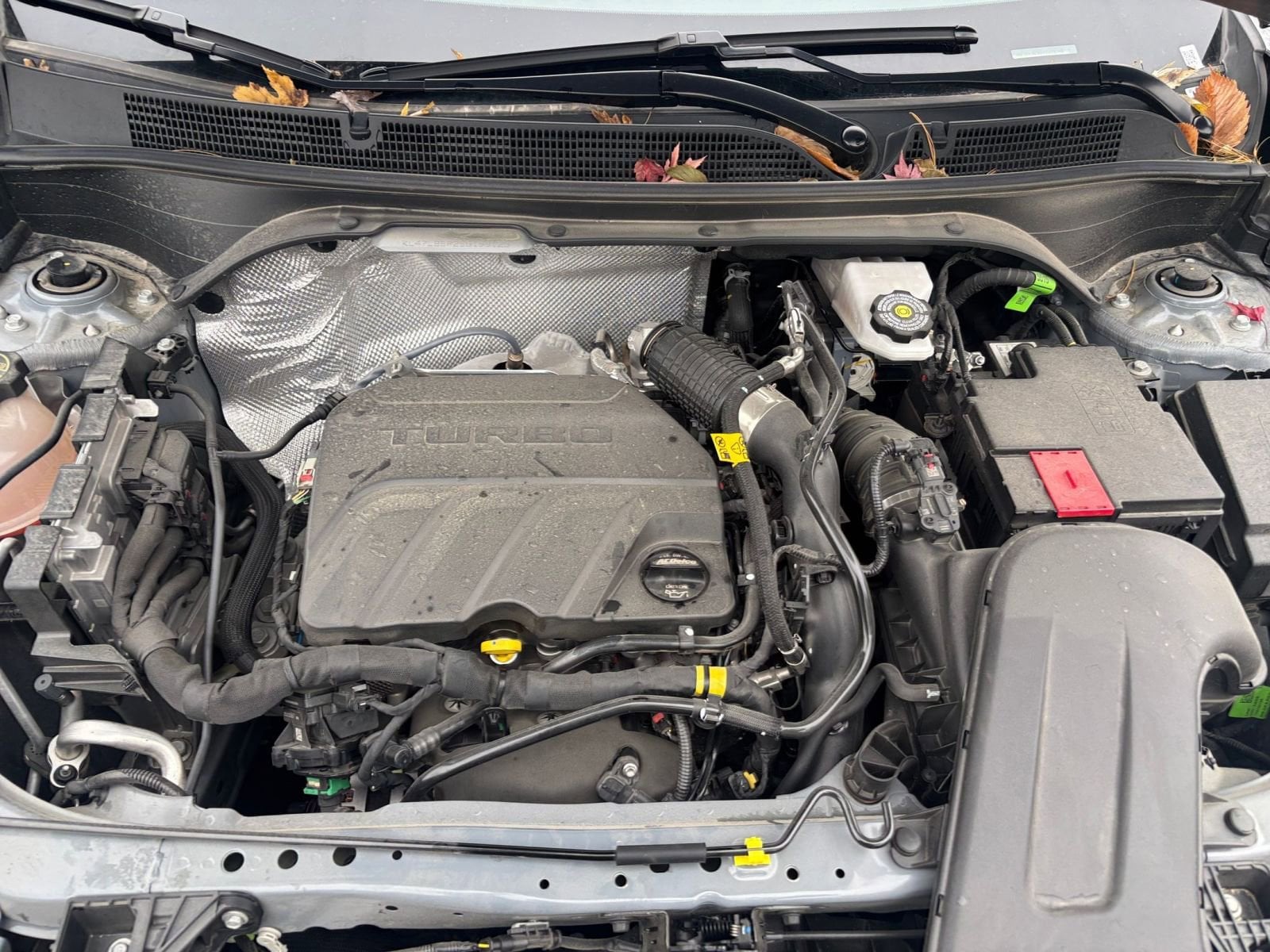 Thumbnail: 2025 Buick Envista - 30