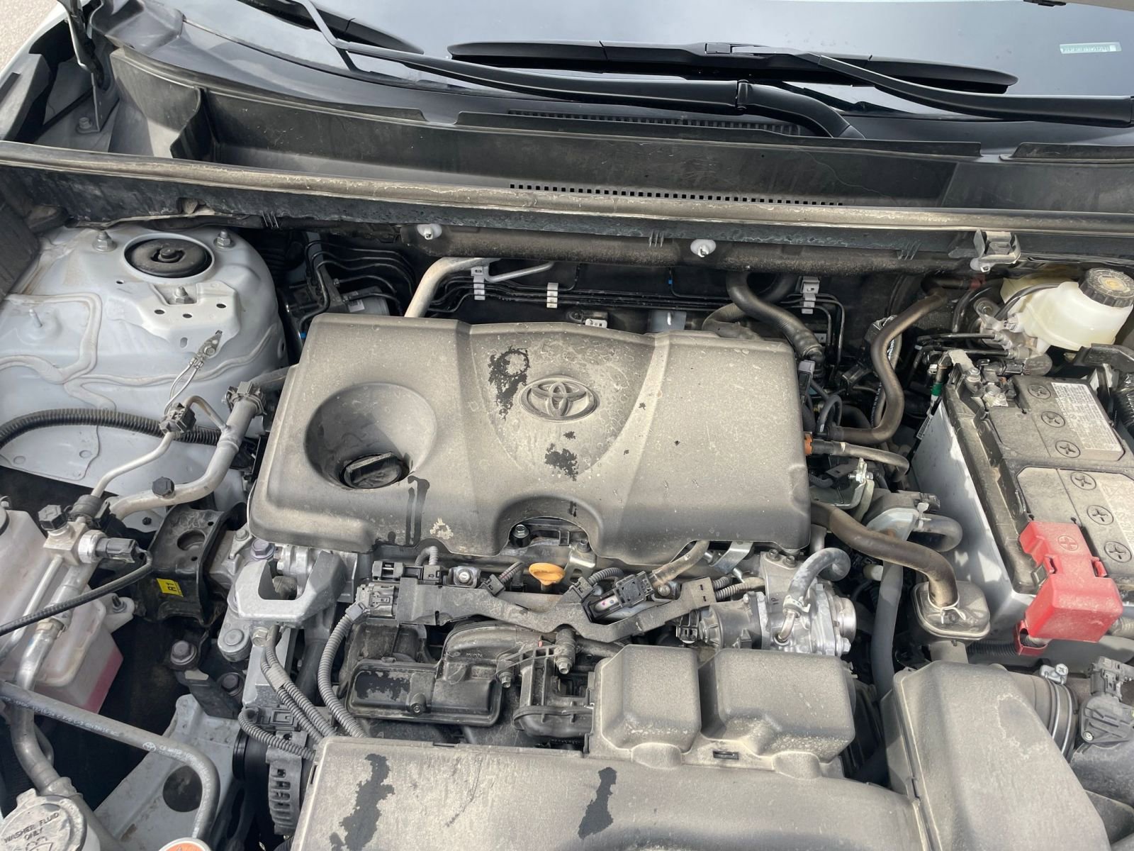 Thumbnail: 2025 Toyota RAV4 - 31