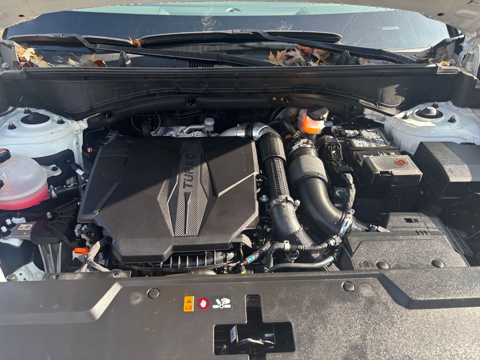 Thumbnail: 2025 Hyundai Santa Fe - 30