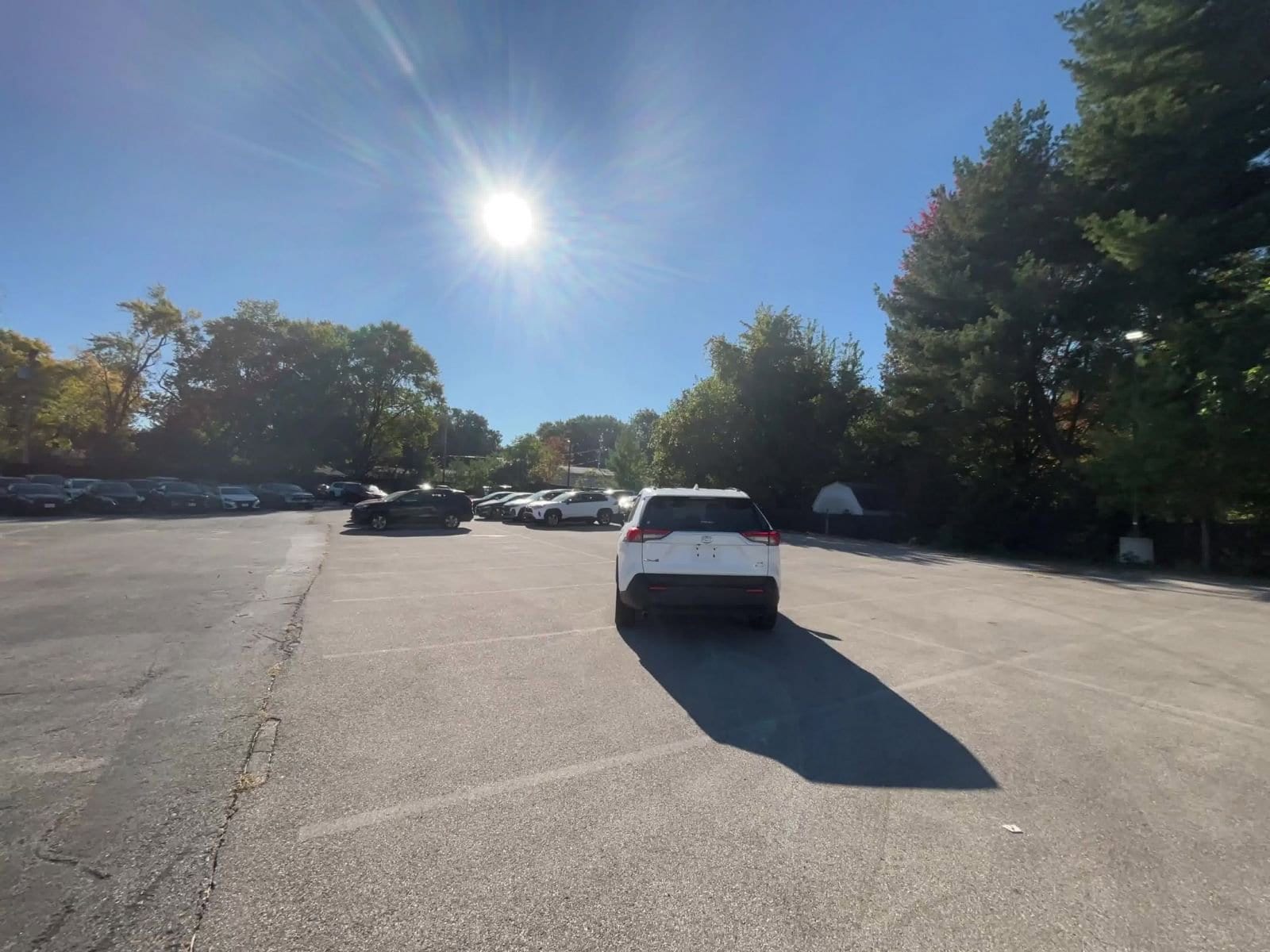 Thumbnail: 2025 Toyota RAV4 - 16