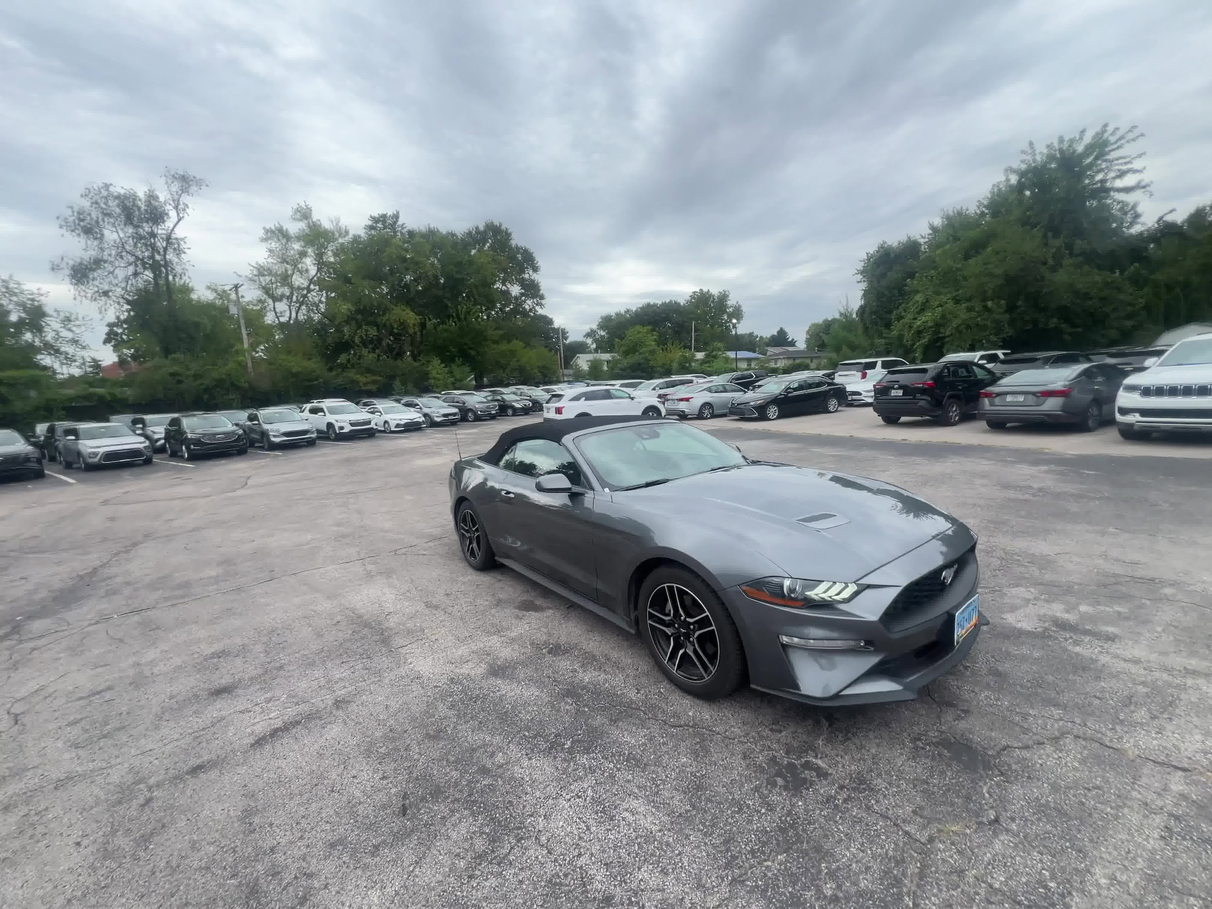 2022 Ford Mustang  3