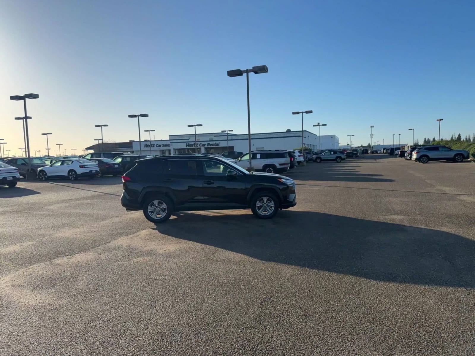 Thumbnail: 2025 Toyota RAV4 - 4