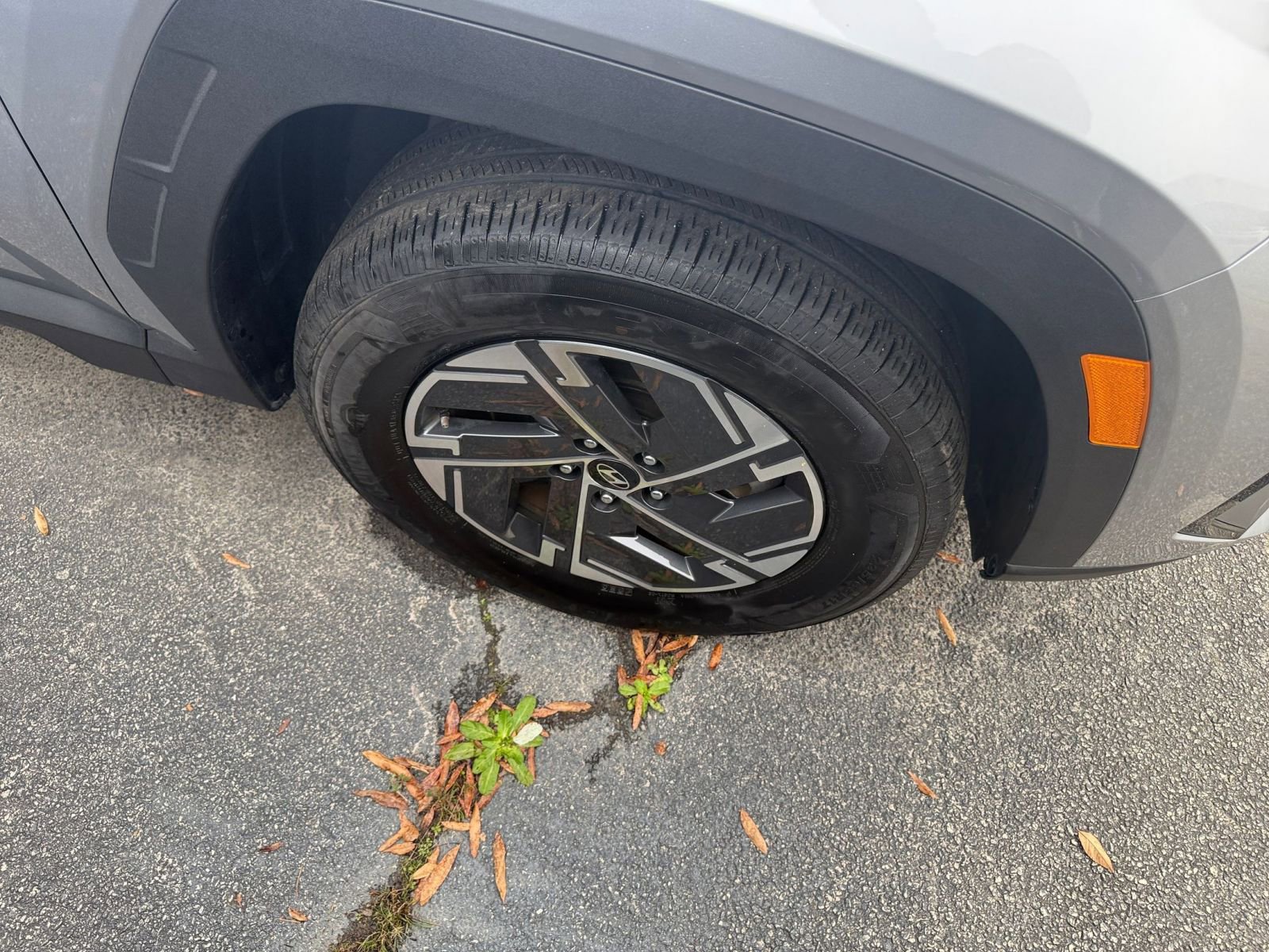 Thumbnail: 2025 Hyundai Tucson - 31