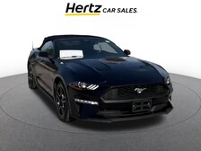 2023 Ford Mustang  -
                  Tampa, FL