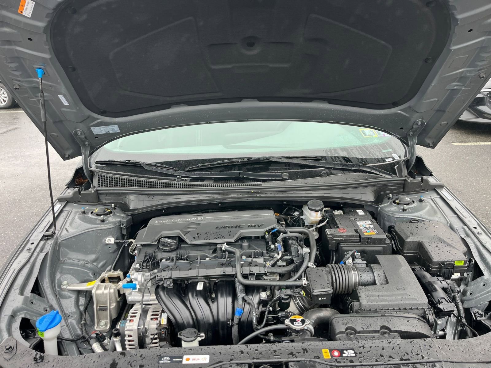 Thumbnail: 2025 Hyundai Elantra - 33