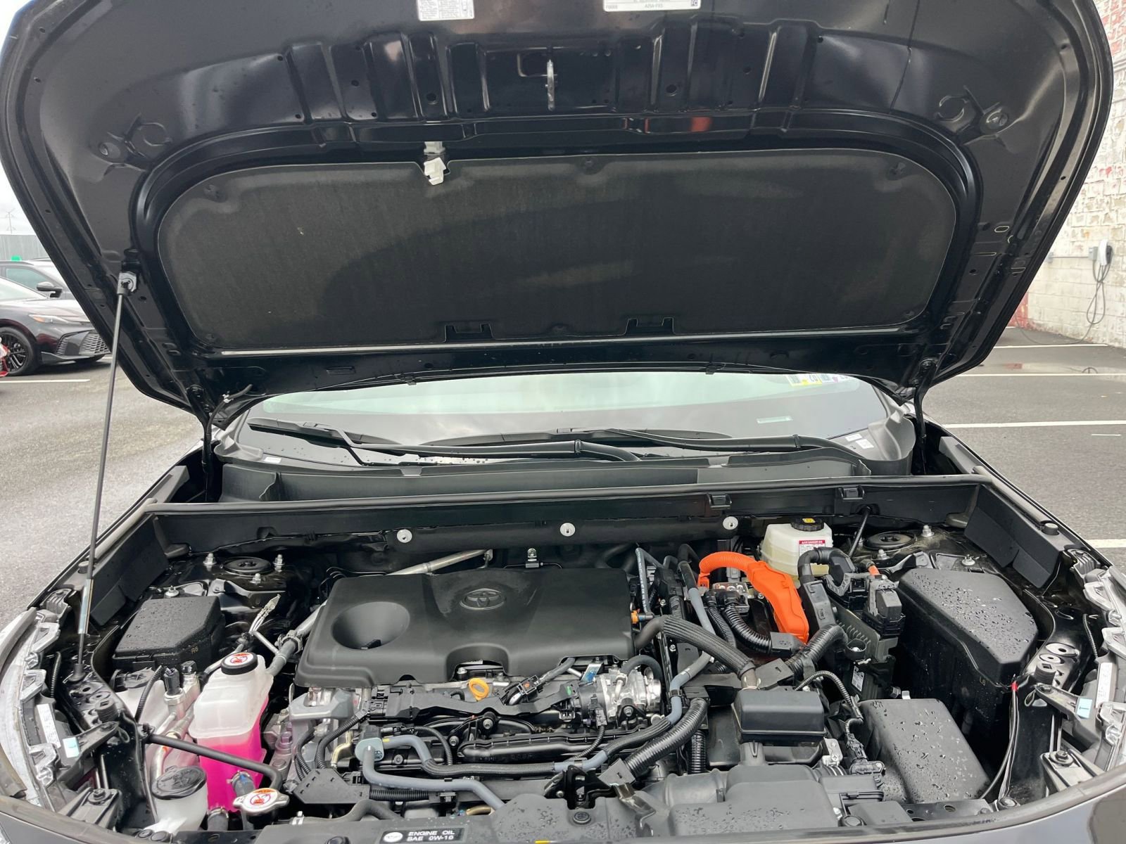 Thumbnail: 2025 Toyota RAV4 - 31