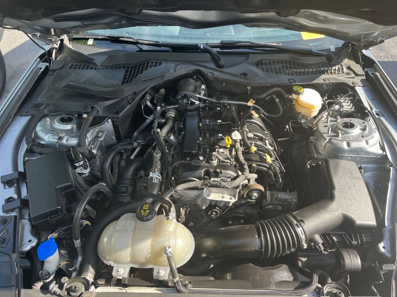 Thumbnail: 2023 Ford Mustang - 26