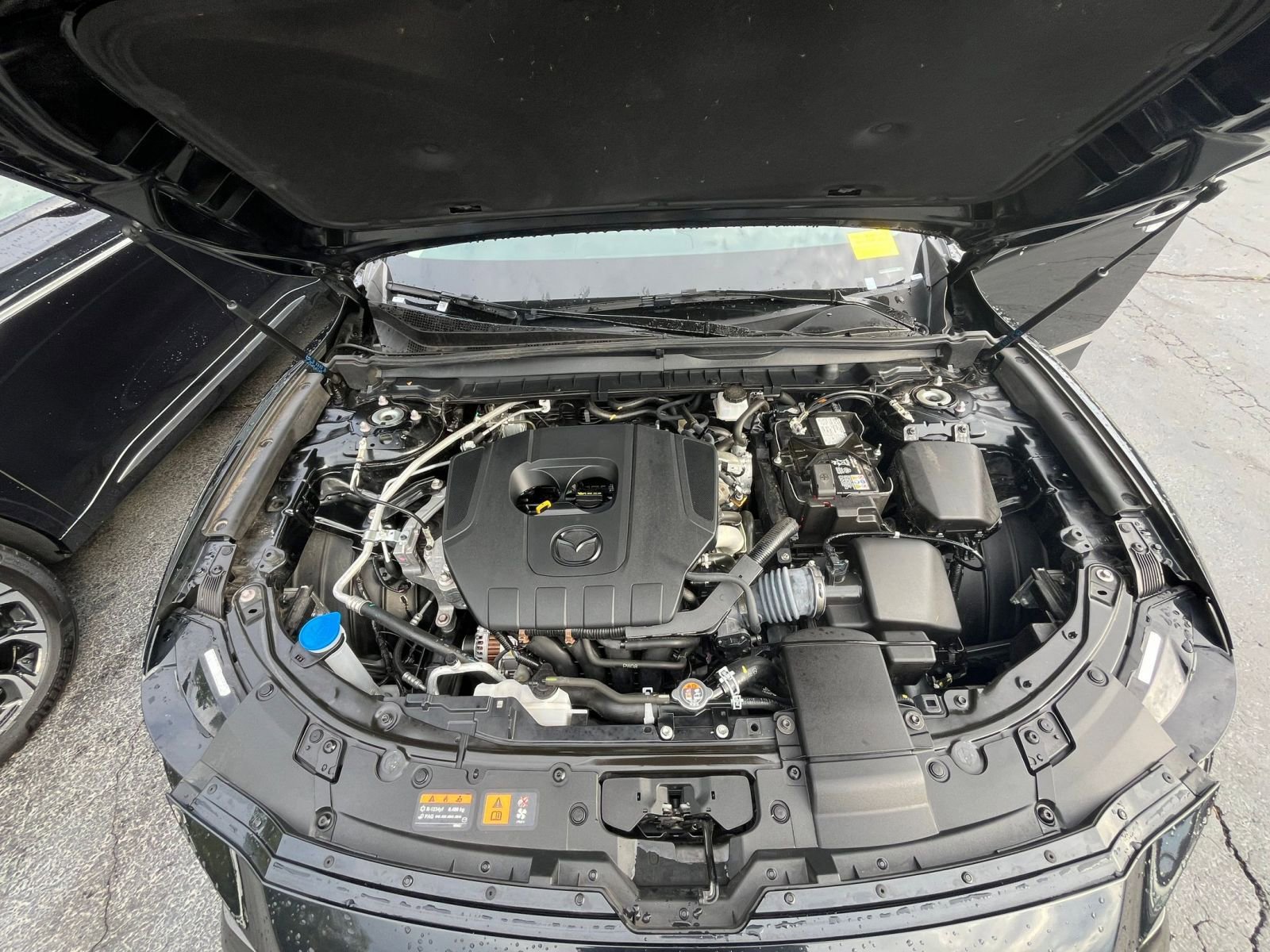 Thumbnail: 2025 Mazda CX-50 - 28