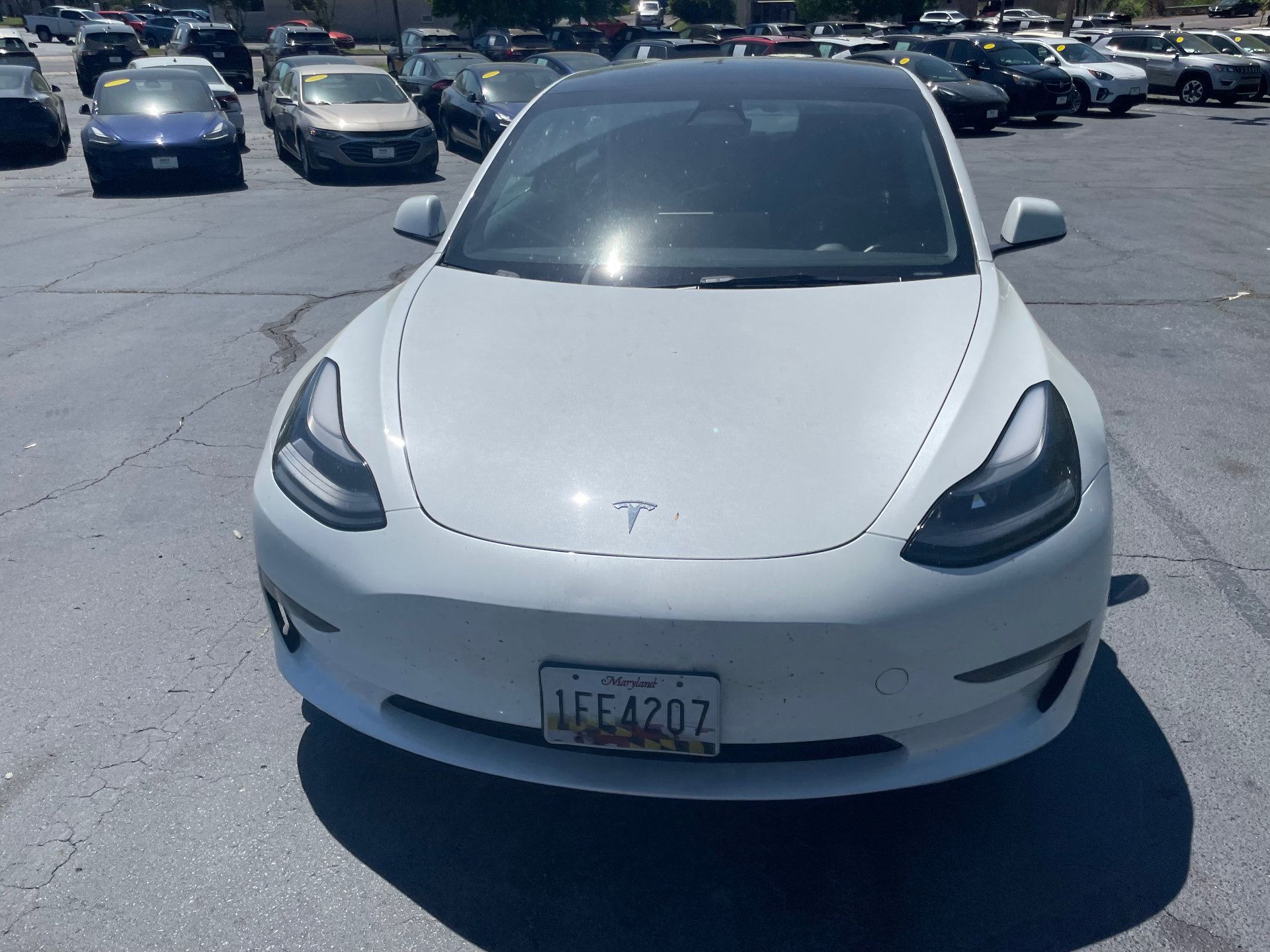 Certified 2023 Tesla Model 3  with VIN 5YJ3E1EAXPF434508 for sale in Seattle, WA