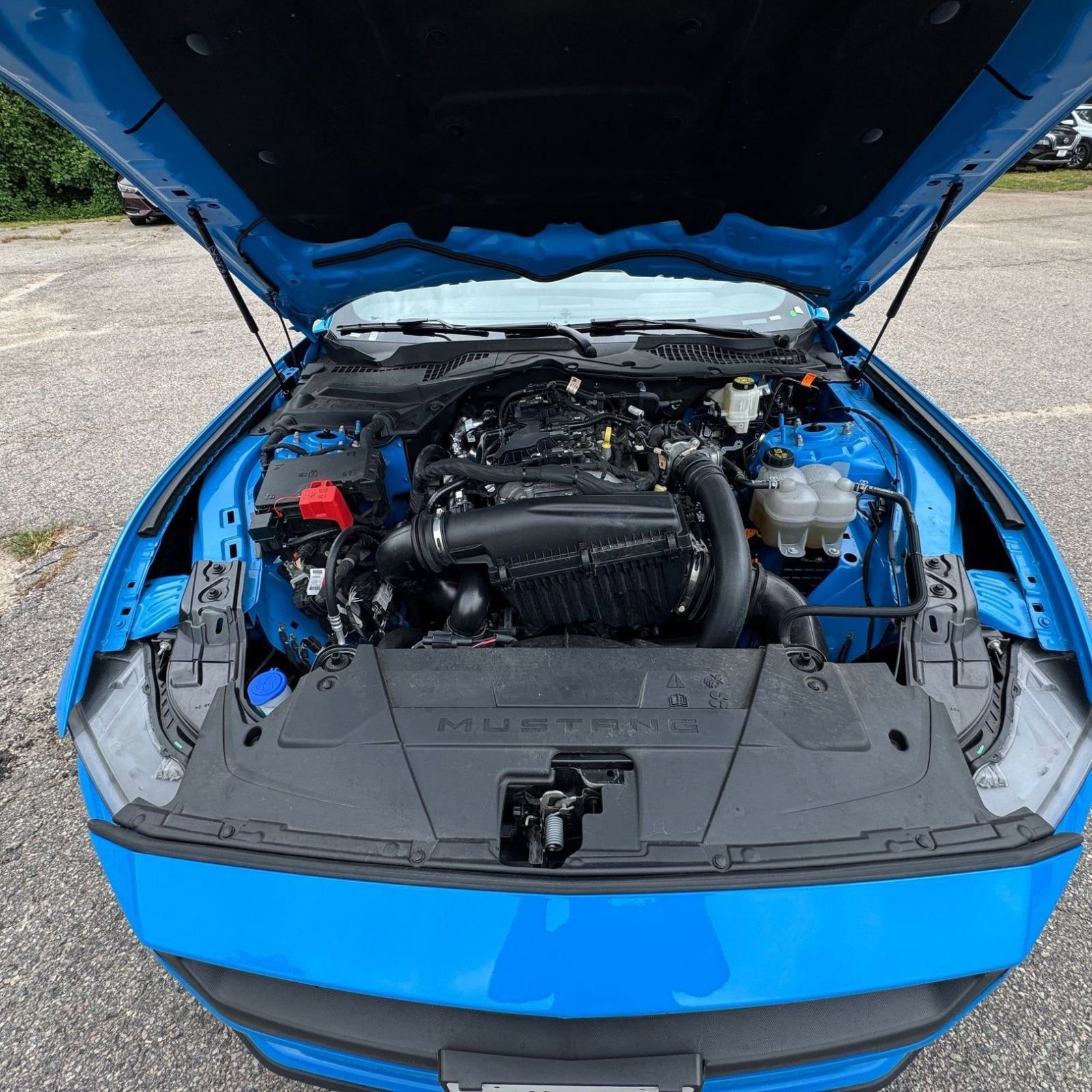 Thumbnail: 2024 Ford Mustang - 25