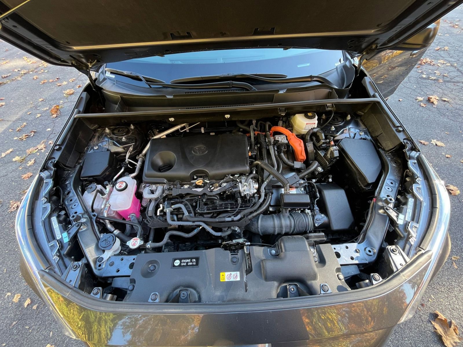 Thumbnail: 2025 Toyota RAV4 - 28