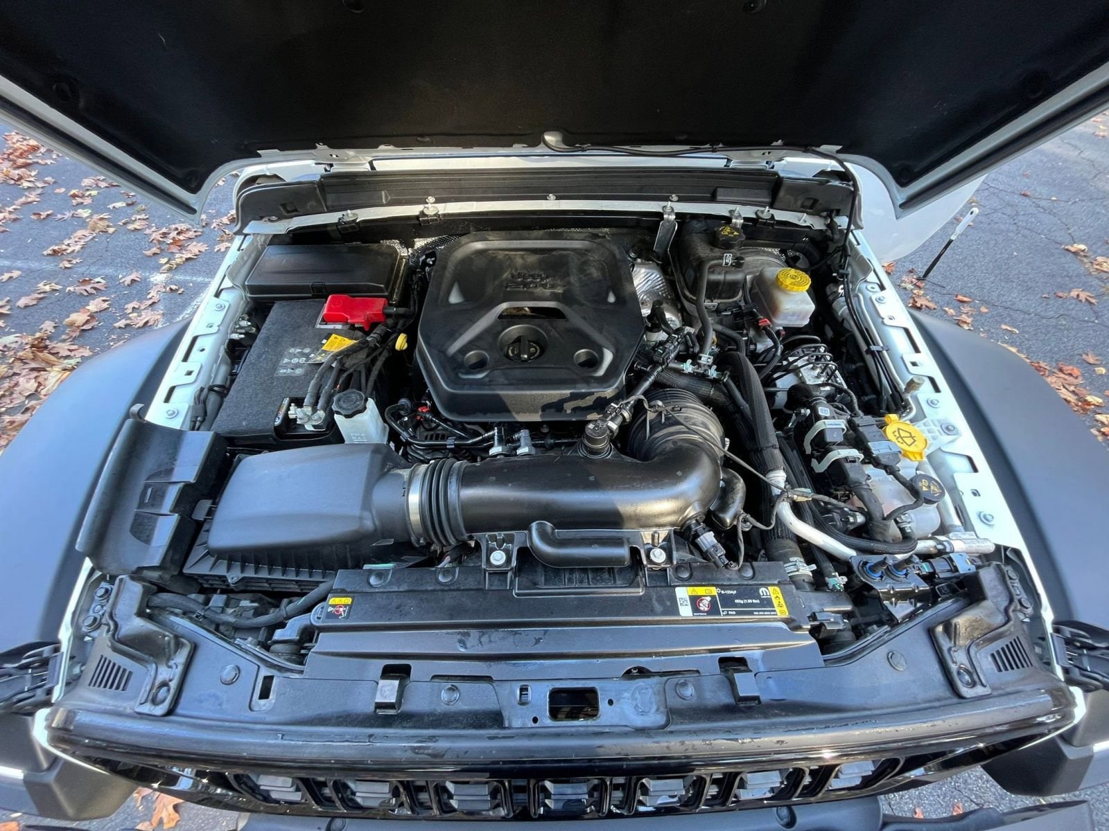 Thumbnail: 2025 Jeep Wrangler - 28