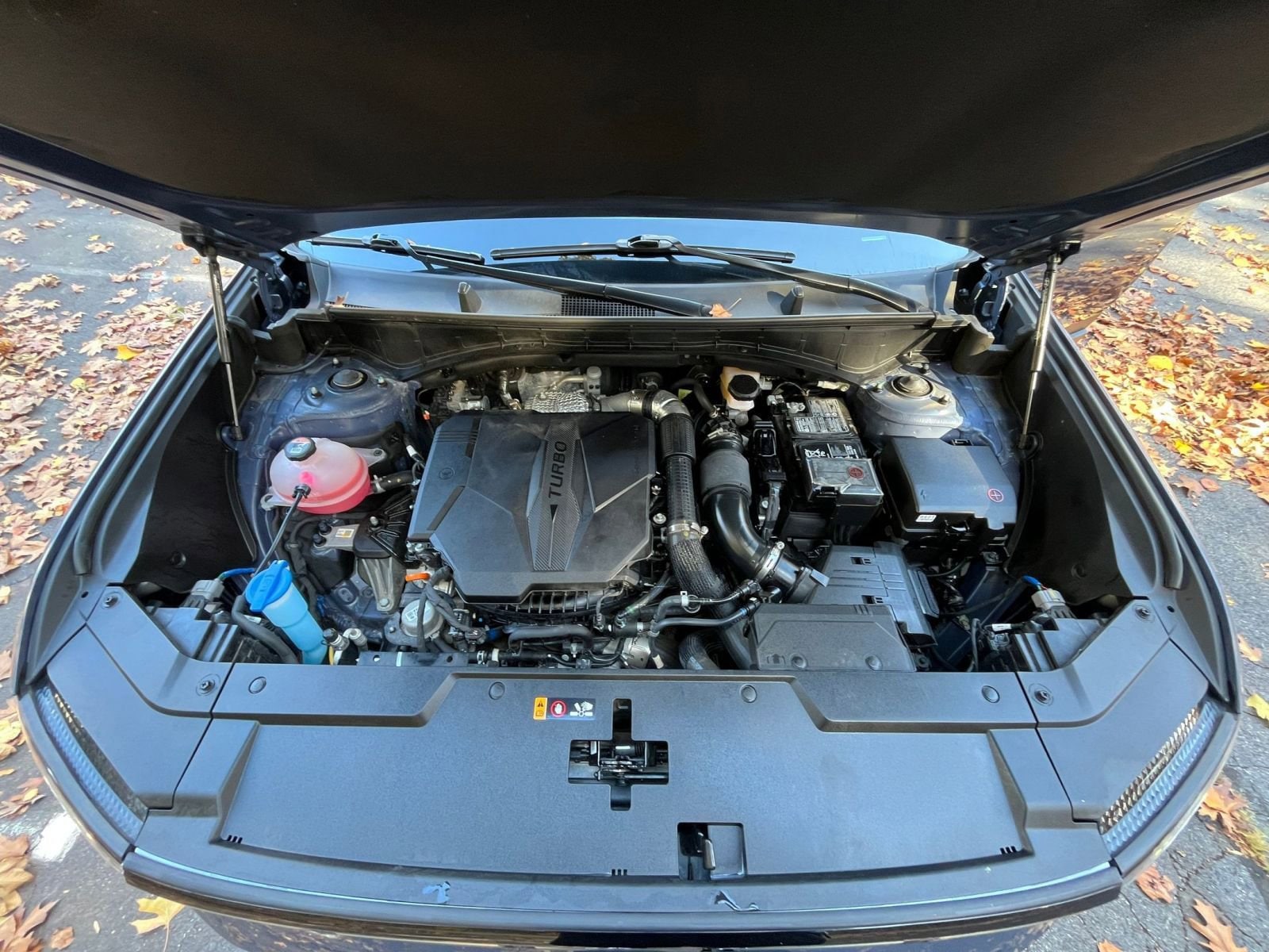 Thumbnail: 2025 Hyundai Santa Fe - 28