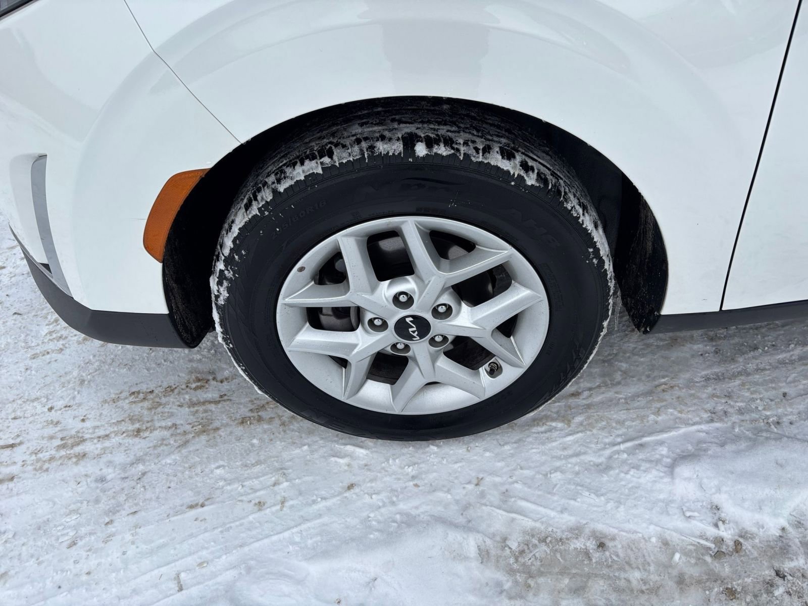 Thumbnail: 2025 Hyundai Kona - 30