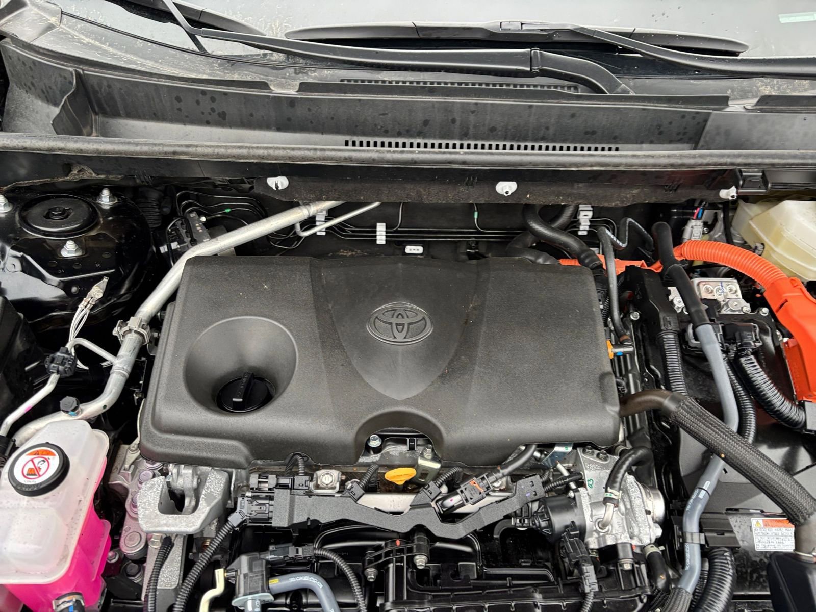 Thumbnail: 2025 Toyota RAV4 - 31