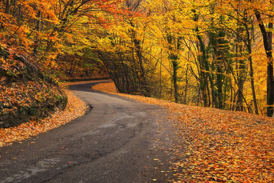 Fall road.jpg