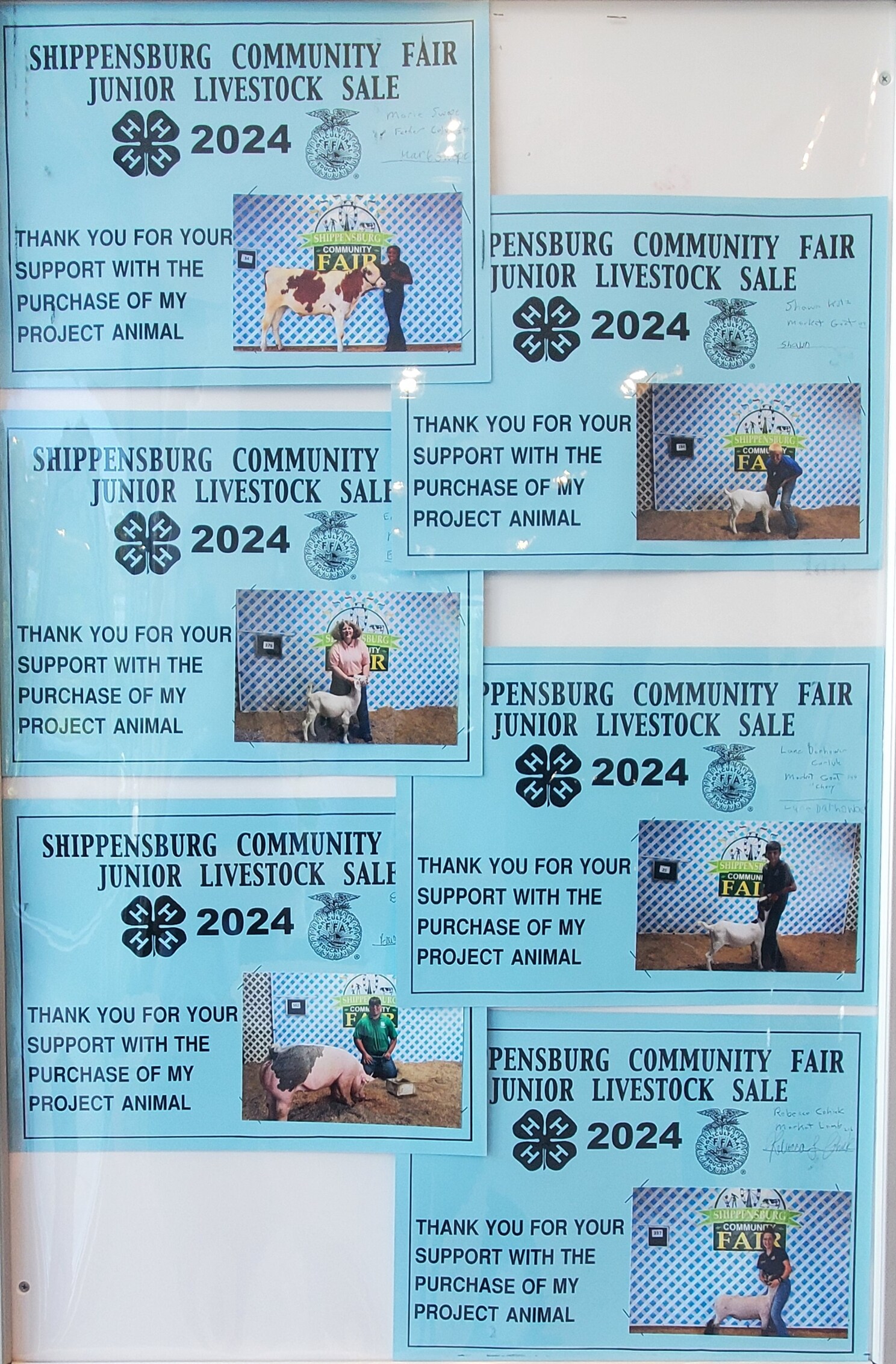 Livestock Image 1