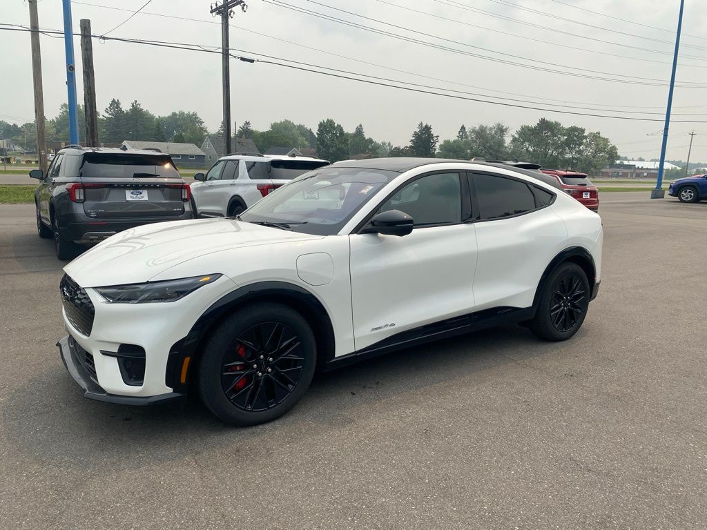 2025 Ford Mustang Mach-E Premium AWD's photo