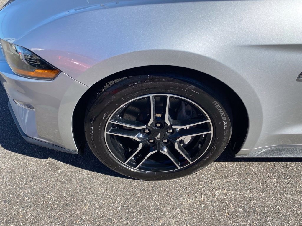 Used 2019 Ford Mustang GT Premium with VIN 1FATP8FF8K5171741 for sale in Hibbing, Minnesota