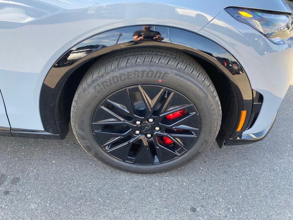 2025 Ford Mustang Mach-E Premium - Photo 6