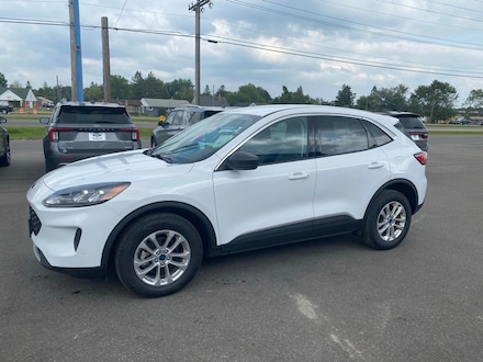 2022 Ford Escape Hybrid SE SUV