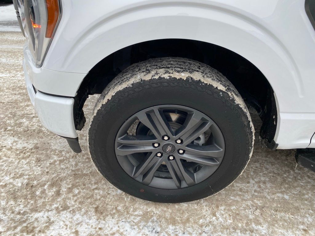 Used 2023 Ford F-150 Lariat with VIN 1FTFW1E81PKE28557 for sale in Hibbing, Minnesota